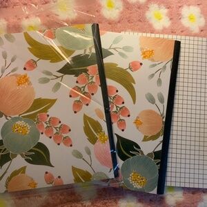 3 Webster’s pages composition notebooks